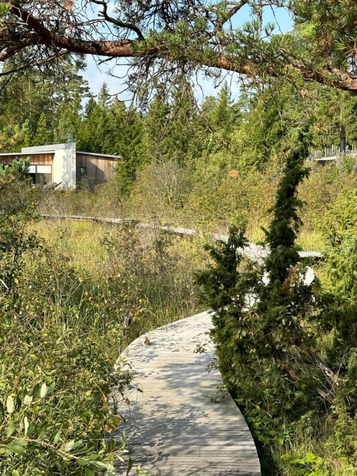 Maven Kustnaera Stugor Kappelshamn Exteriér fotografie